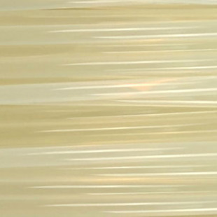 RM-PL0098 Image